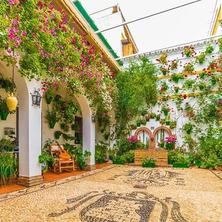 Nuevo Ribera Arcangel * コルドバ